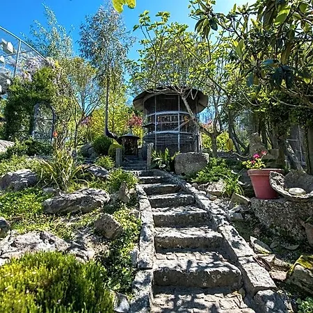 Oda ve Kahvaltı Casa Da Costa Grande 4*