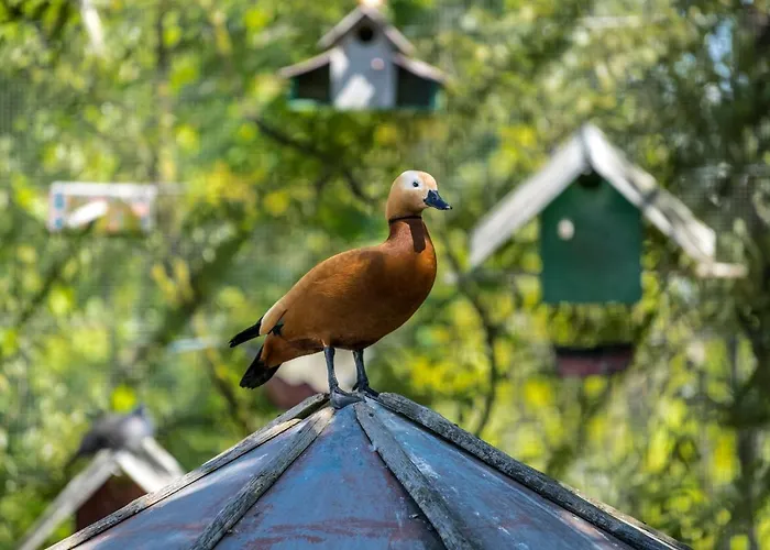 Bed & Breakfast Casa Da Costa Grande